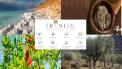 Villeroy & Boch 2 X Latte Macchiato Glas Ohne Henkel NewWave Vorteilsset 2 X Art. Nr. 1137373422 Und Gratis 1 Trinitae Körperpflegeprodukt -LuxeTafel Verkäufe 67077e59e1a1032d5c820cf4eae4ab17